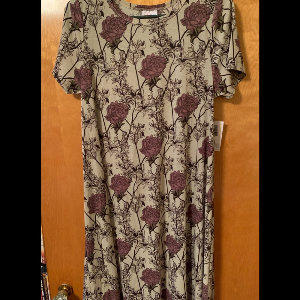 Lularoe Floral Carly Swing Dress. Size S.  NWT.